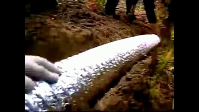 ХОЛОДНОЕ КОПЧЕНИЕ РЫБЫ в полевых условиях. Ленок и хариус. Река Деп. смотреть онлайн