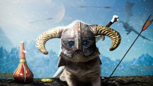 SKYRIM глазами НОВИЧКА