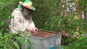 Через   25   дней