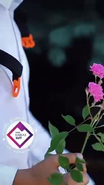 ARTEE - Белые розы смотреть онлайн