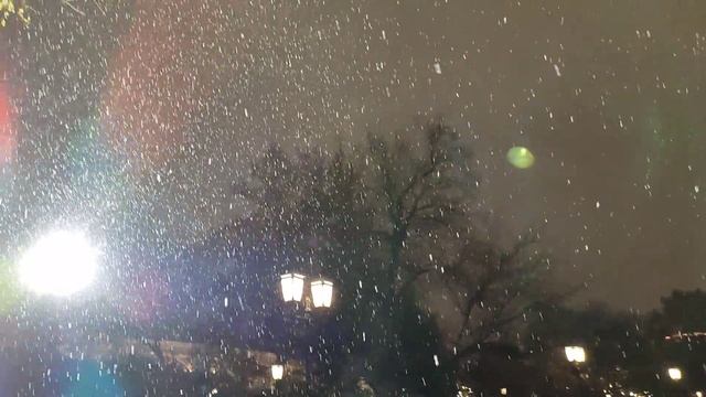 Первый снег 2022