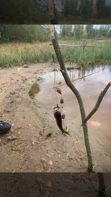 Улов Медное озеро