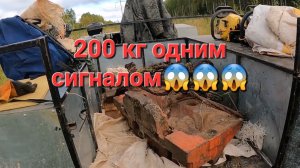 Эта мощная плюшка лишила нас всех сил.Металлокоп в старых  делянках.