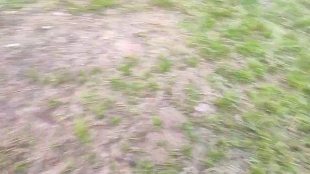 WhatsApp Video 2025-06-28 at 10.42.25 смотреть онлайн