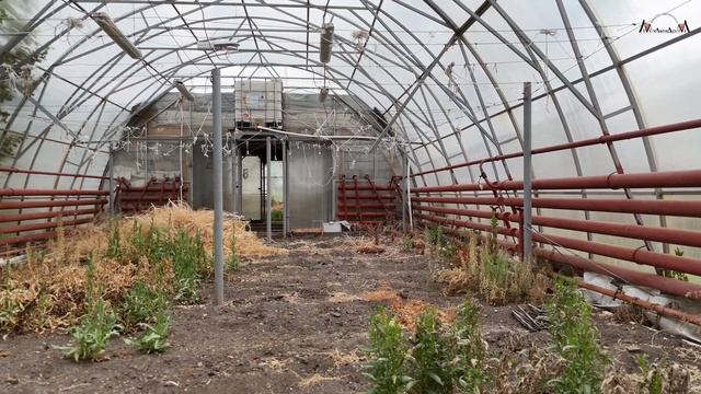 Продаётся готовый бизнес - оранжерея из 14 теплиц в посёлке Уфимка смотреть онлайн