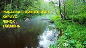 Горная рыбалка Охота за ленком, хариусом и тайменем в сердце дикой тайги