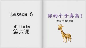 Yct1_6 Части тела и описание человека на китайском