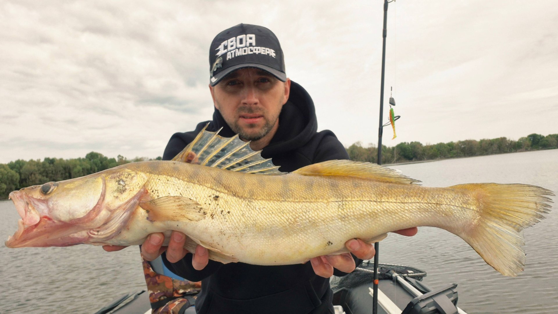 Таких судаков я ещё не ловил. Рыбалка летом ловля судака на резину. смотреть онлайн