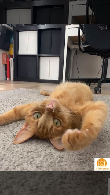 Субботний релакс😌