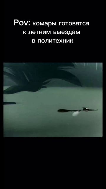 Комары готовятся к летним выездам в Политехник смотреть онлайн