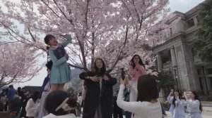 🇨🇳 Весеннее приключение в Ухане - прогулка на велосипеде и пешком - 2025