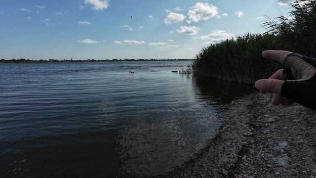 Путешествие к морю (2 серия).