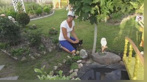 6 соток 24 июня 2024 года. 2 часть..mp4