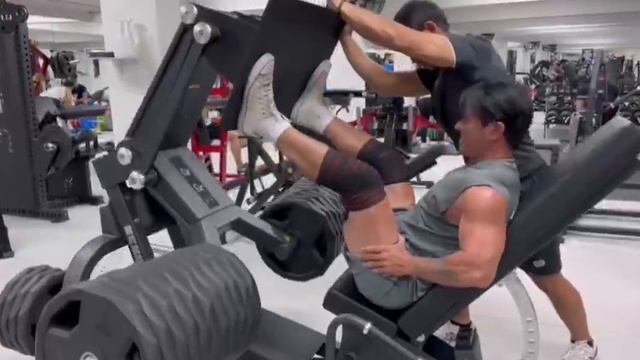 Жим ногами Insight PL1008+PL10-OPT