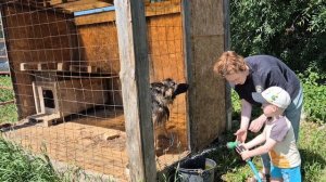 Поехали на день рождения в Кемерово к внуку