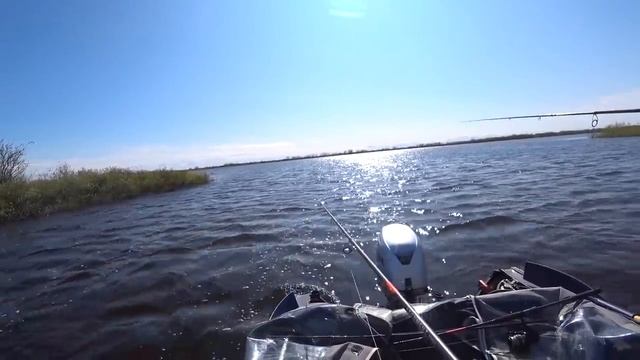 ОН ЗНАЕТ ГДЕ ЛОВИТЬ!! ОКУНИ МУТАНТЫ ПО БОЛЬШОЙ ВОДЕ!!! ЛЕТНЯЯ РЫБАЛКА!! смотреть онлайн