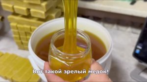 Кочевка за Лучшим мёдом России 2025! 3 кочевая пасека в этом сезоне, получили Ивовый мёд!