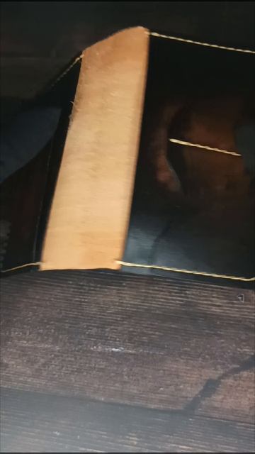 обложка на паспорт #ручнаяработа #градиент #покраскакожи #изделияизкожи