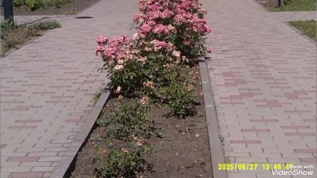 МАРИУПОЛЬ ⛵ как есть!🏢 смотреть онлайн