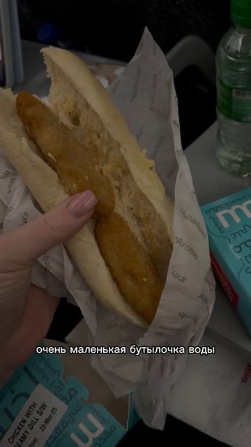 Перелет авиакомпанией AirArabia 
Чем кормят в авиакомпании AirArabia