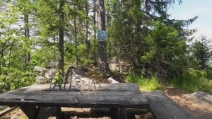 Гора Рассыпная (1019м) в июне. Белорецкий район. Башкортостан.