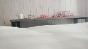 Расбиовю вещи Кати и Насти