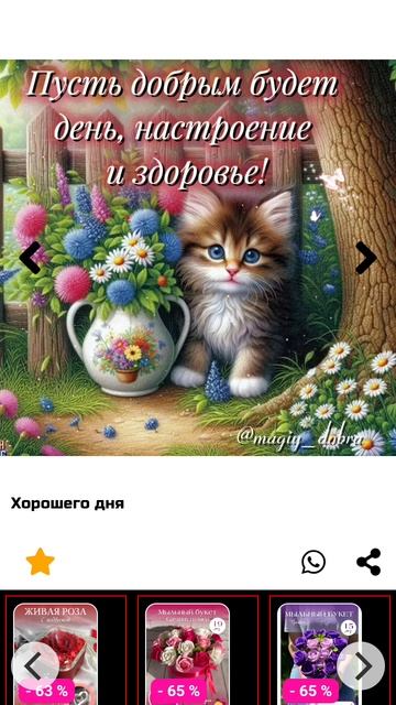 1000051067.mp4 смотреть онлайн