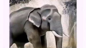 Аудиосказка. Про слона