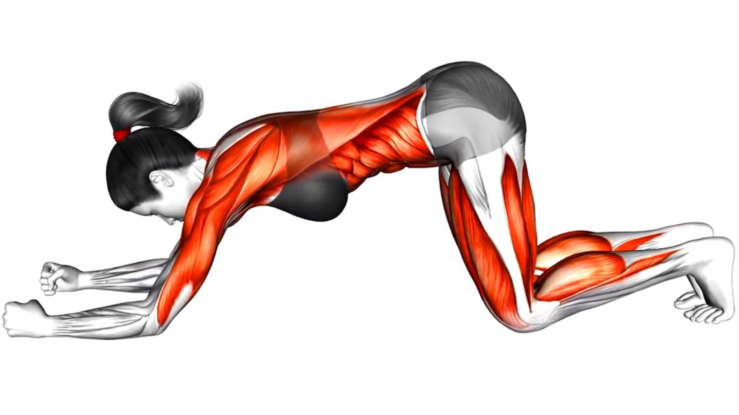 Как уменьшить стойкий Жир на Животе смотреть онлайн