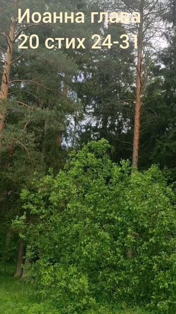 (84) Евангелие от Иоанна глава 20 стих 24-31 смотреть онлайн