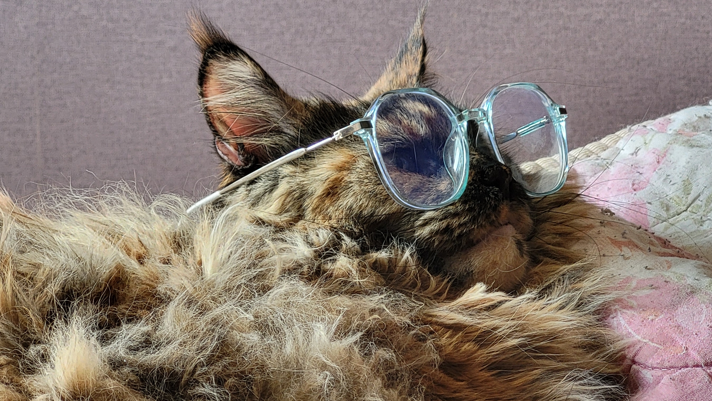 У нас в семье Пополнение смотреть онлайн