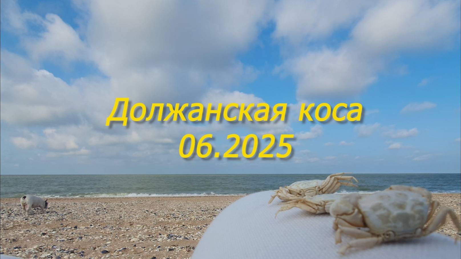 Должанская 2025