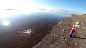 Отличная семейная рыбалка на реке. Ловля на закидушки сига.