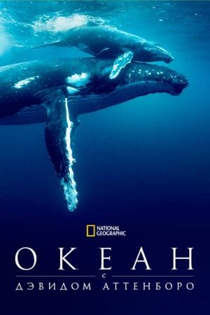 Океан с Дэвидом Аттенборо (документальный фильм, 2025)