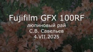С.В. Савельев - Fujifilm GFX 100RF