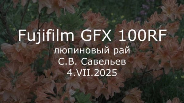 С.В. Савельев - Fujifilm GFX 100RF