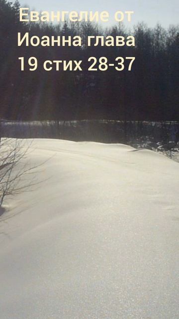 (80) Евангелие от Иоанна глава 19 стих 28-37 смотреть онлайн
