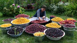 Фруктовые Компоты