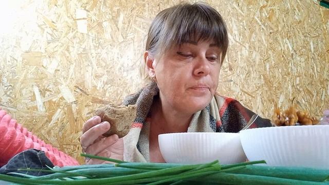 Больше так сажать не буду , кушать теперь не буду , мои ОРХИДЕИ Радуют смотреть онлайн