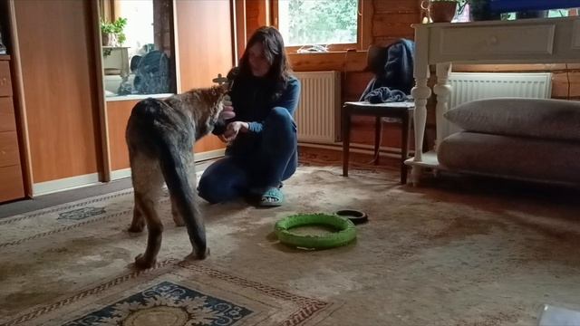  смотреть онлайн