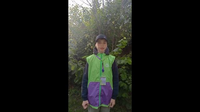 Отзывы ТиН-Лиги 2 неделя смотреть онлайн