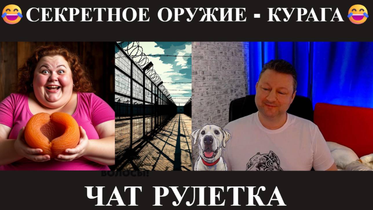 Секретное оружие - Курага 🤣(юмор) чат рулетка смотреть онлайн