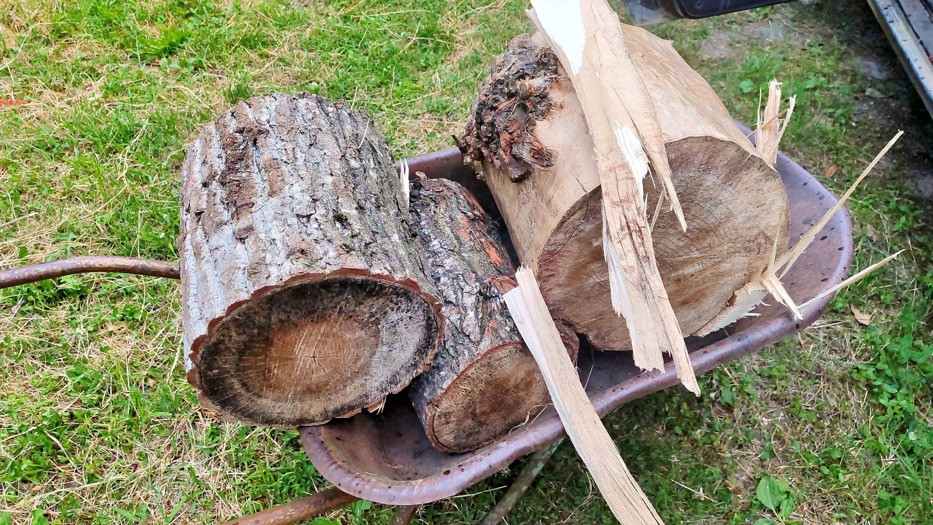 Сбор «валежника» смотреть онлайн