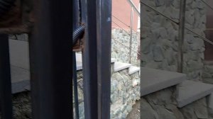 Тест универсальных ключей от УНДМК комплект УК 12 ч.2