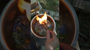 ЧИСТКА (ЧАСТЬ 1) ОТ ПОРЧИ НА НИЩЕТУ, БЕДНОСТЬ