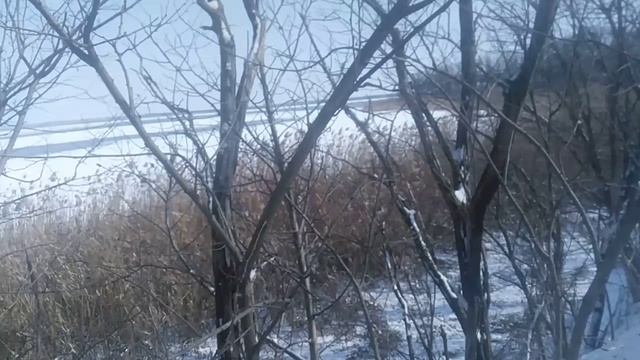 Пёс 1 серия 1сезон Зимняя охота