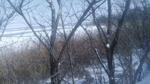 Пёс 1 серия 1сезон Зимняя охота