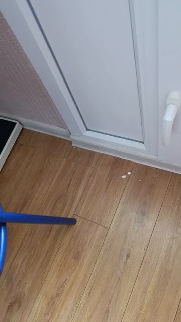 Барся ворует коллаген смотреть онлайн