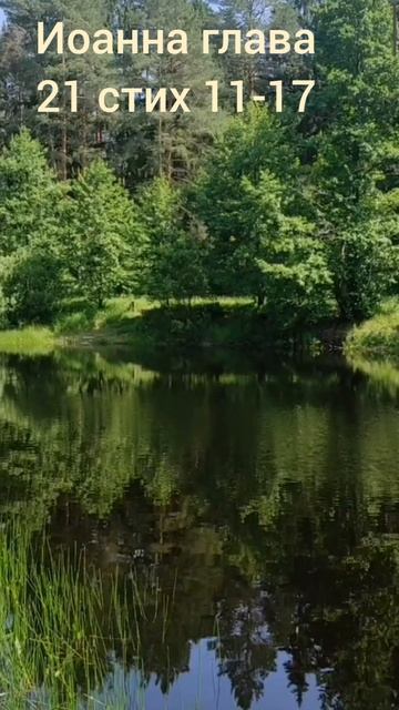 (86) Евангелие от Иоанна глава 21 стих 11-17 смотреть онлайн