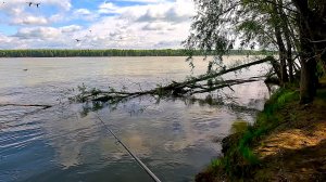 ОХ И ВРЕДНАЯ ЭТА ВАША ОБСКАЯ ЩУКА спиннинговая рыбалка с берега на джиг